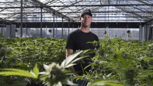 Glass House Farms Expansion Making Waves