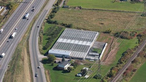Growing off the Grid? Greenhouse Looks up to Solar Panels