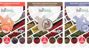 How Ball Seed is Helping Growers and Landscapers Thrive