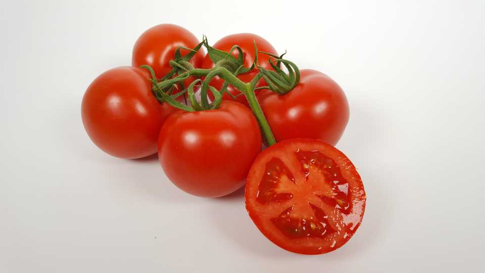 Bountice (De Ruiter, Seminis Vegetable Seeds)