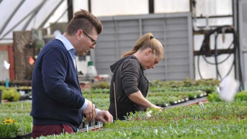 How to Effectively Onboard New Employees