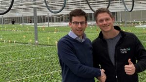 Dümmen Orange Forms New Partnership With Perfect Plants