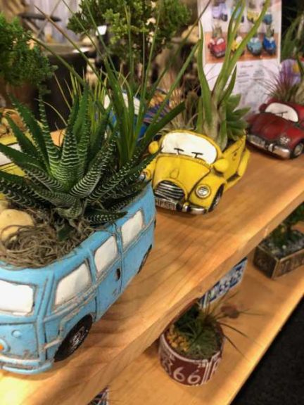 17 Plant Products That Wowed Grower-Retailers at TPIE 2020 