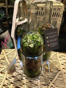 Cheers Mini Garden Wine Bottle (Flori-Design)