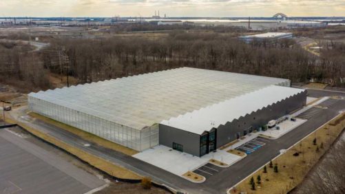 Gotham Greens Opens up Another Massive Greenhouse