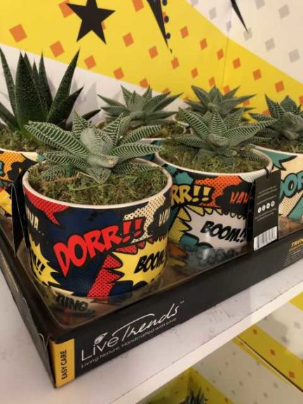 TrendSetter Collection (LiveTrends Design Group)