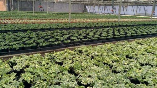 You Can Still Apply for COVID-19 Relief; Here’s How