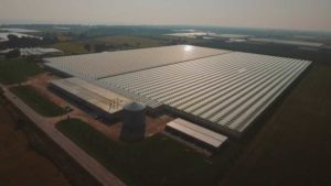 Mastronardi Produce Continues Growth With Double Diamond Acquisition