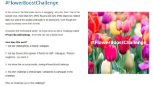 11 Cool Things Companies Are Doing to Promote Plants During the COVID-19 Pandemic