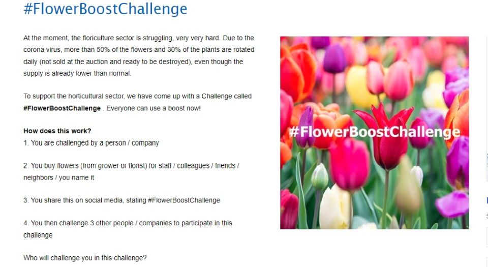 Flower Boost Challenge