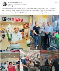 Flowers for the Elderly