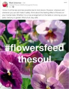 Flowers to Feed the Soul