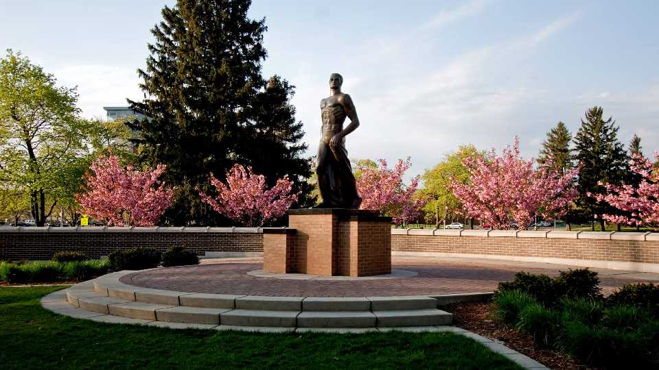 11. Michigan State University 