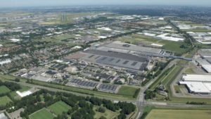 Flower Growers Overseas Are Also Dealing With Coronavirus