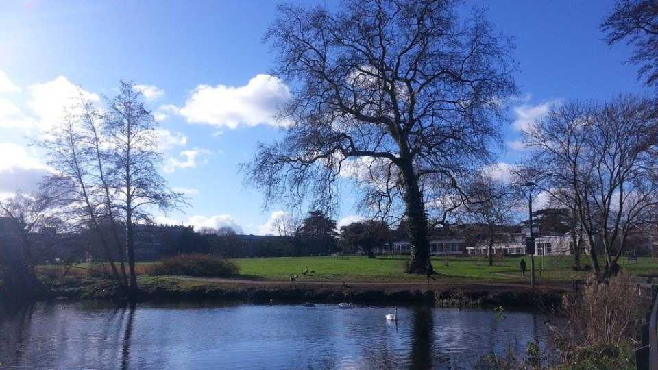 9. University of Reading (U.K.)
