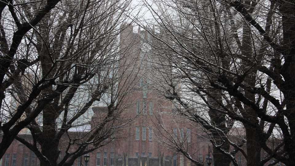 15. University of Tokyo