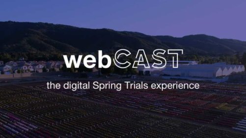 Latest CAST Update: Plant Breeders Planning for Virtual Spring Trials Experience