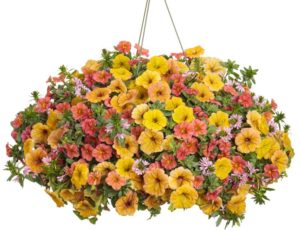 2021 National Recipe Beachside Drive