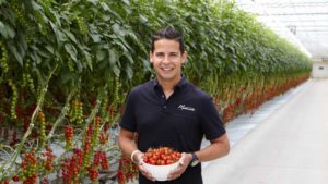 How Mastronardi Produce Became Pioneers of High-Tech Vegetable Growing