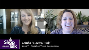 ShopTalk: New Variety Introductions From PlantHaven for 2021