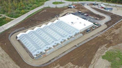 Cannabis Top 20: North America’s Largest Commercial Grows (Updated)