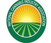 NCIA Pledges Commitment, Resources to Social Justice Reform