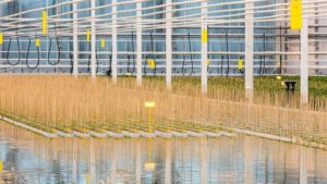 Why Water Management Is Key to Long-Term Food Production