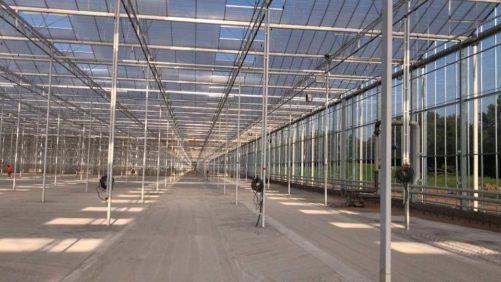 COVID-19 Hits Home at New York Vegetable Greenhouse