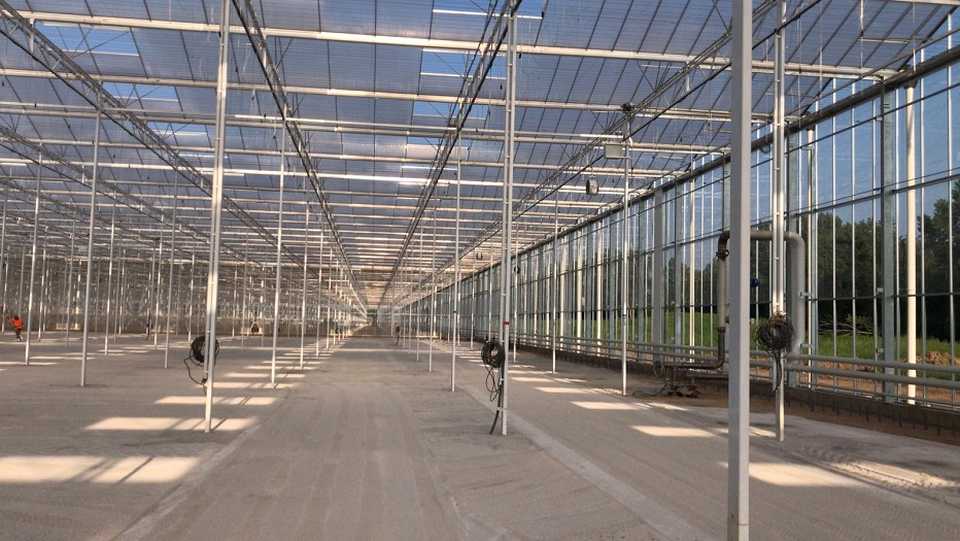 COVID-19 Hits Home at New York Vegetable Greenhouse