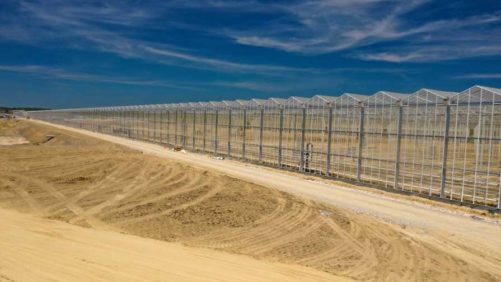 Martha Stewart Among Big Names Joining AppHarvest Team