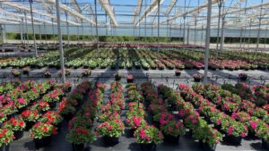 6 Recent Greenhouse Building Projects That Offer Important Lessons