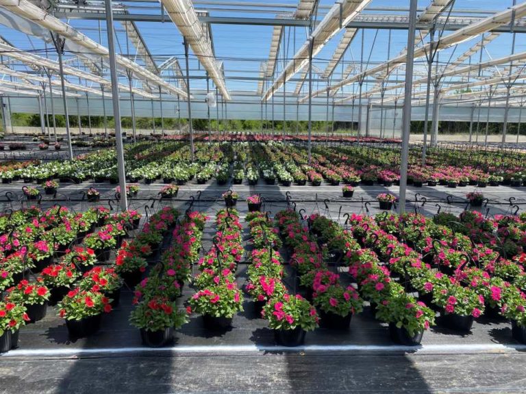 Recent Greenhouse Building Projects That Offer Important Lessons