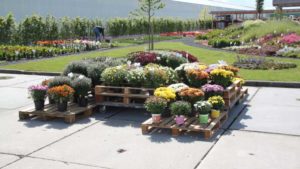 Leading Plant Breeder Is All-In on New Technology and Varieties Programs