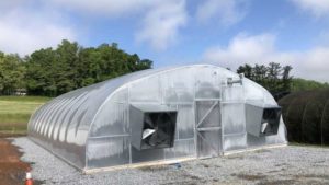 Big Greenhouse Investment to Give Tomato Breeding a Boost