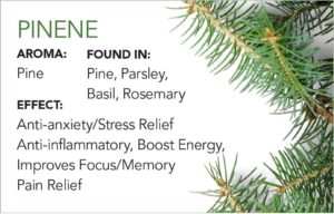 3. Pinene