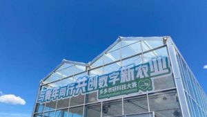 Next Up in Remote Autonomous Greenhouse Production Is …Strawberries!