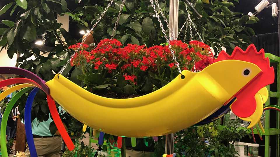17 Plant Products That Wowed Grower-Retailers at TPIE 2020