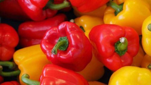 Sakata Adds to Bell Pepper Portfolio