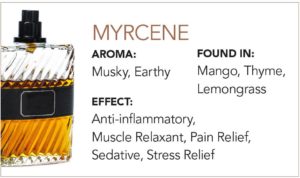 1. Myrcene