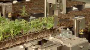 AutoStix Transplanter Updated With New Media Strip Component