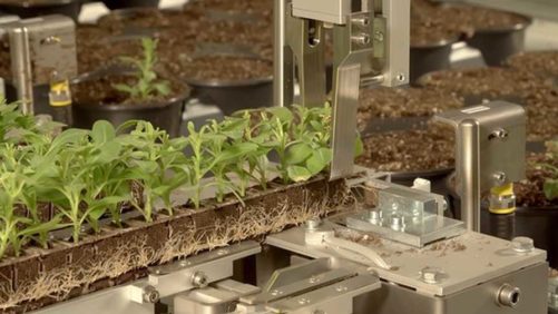 AutoStix Transplanter Updated With New Media Strip Component