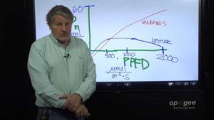 The Myths and the Realities of Cannabis Lighting