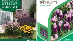 Danziger Unveils New Perennials Catalog