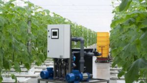 Check Out These New Products That Wowed Attendees at Cultivate Virtual’s New Products Zone