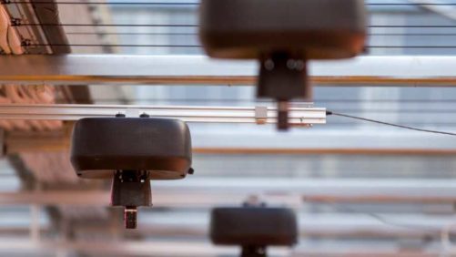 Artificial Intelligence in the Greenhouse: Here To Stay or Gone Tomorrow?