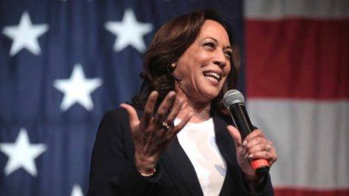 Forecasting the Kamala Harris Effect on Cannabis