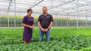 How BASF is Investing in Autonomous Growing in Vegetables
