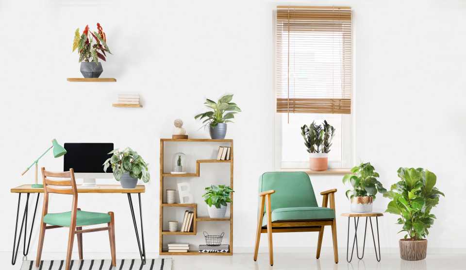 Broadacre Cities: What You Can Do