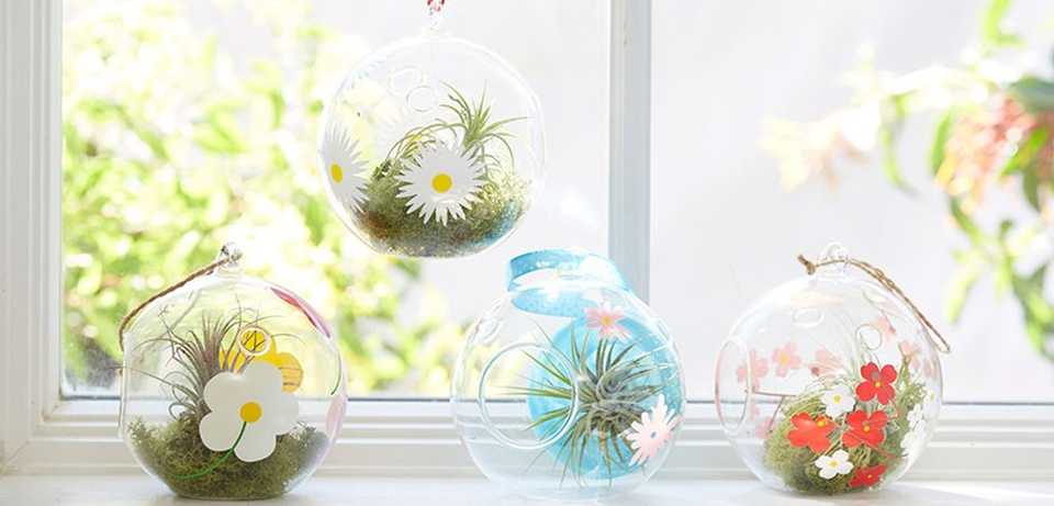 Impatient Gardening: What You Can Do