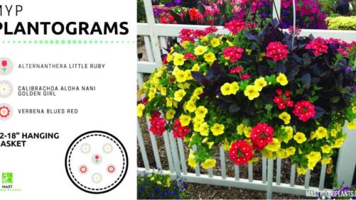 How to Create Novel Plant Combinations That Translate to Sales